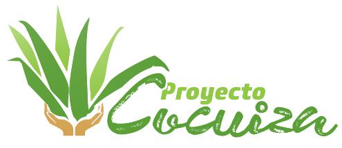 Proyecto Cocuiza